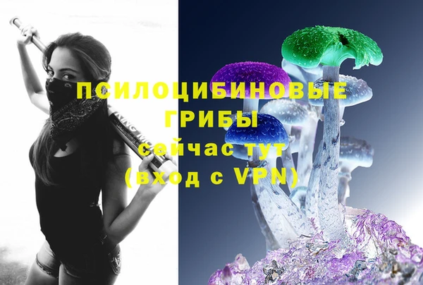 экстази Богданович